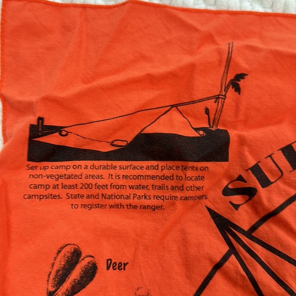 Set of four bandanas - two Disney, one Thomas the Train, one Survival Tips - Picture 14 of 16